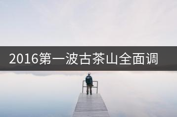 2016第一波古茶山全面調研第二站——勐海之章朗