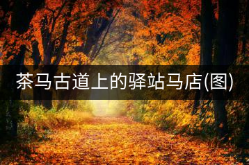 茶馬古道上的驛站馬店(圖)