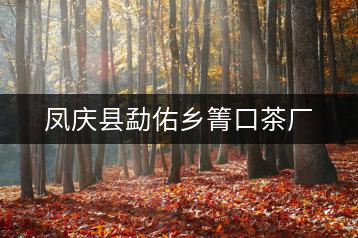 鳳慶縣勐佑鄉箐口茶廠