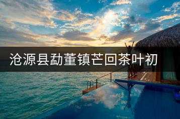 滄源縣勐董鎮芒回茶葉初制所