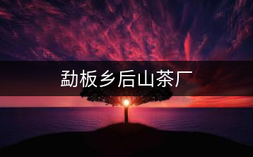 勐板鄉后山茶廠