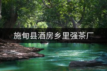 施甸縣酒房鄉里強茶廠