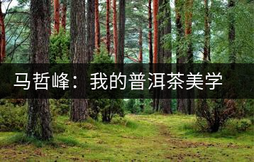 馬哲峰：我的普洱茶美學主義