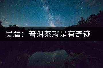 吳疆:普洱茶就是有奇跡的茶