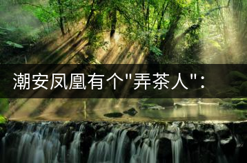 潮安鳳凰有個”弄茶人”：幫扶四鄉六里 保護優質茶種
