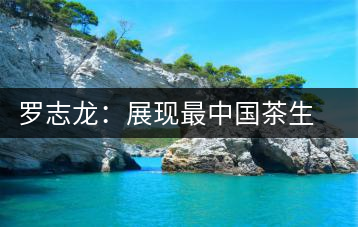 羅志龍:展現最中國茶生活