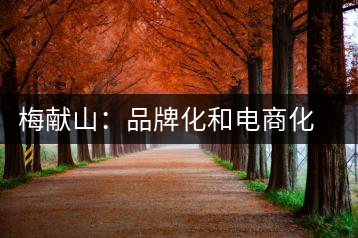 梅獻山：品牌化和電商化成為茶產業的第三個轉機