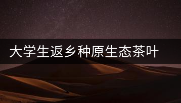 大學生返鄉種原生態茶葉 網上銷售獲好評