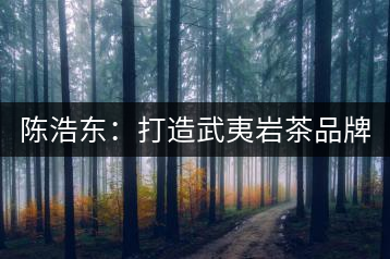 陳浩東:打造武夷巖茶品牌 弘揚中華茗茶文化