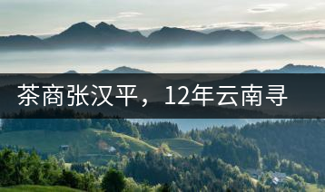 茶商張漢平,12年云南尋茶路