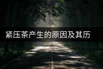 緊壓茶產生的原因及其歷史發展過程