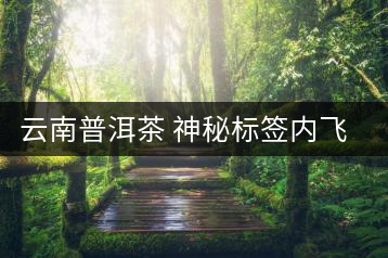 云南普洱茶 神秘標簽內飛歷史