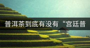 普洱茶到底有沒(méi)有“宮廷普洱”一說(shuō)?它到底是什么?