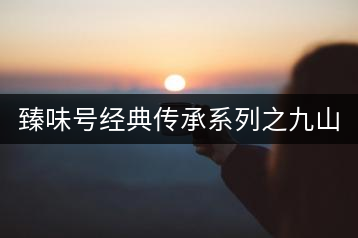 臻味號經典傳承系列之九山真味套裝2016春