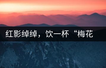 紅影綽綽,飲一杯“梅花”醉
