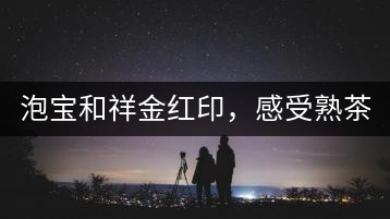 泡寶和祥金紅印，感受熟茶之美。