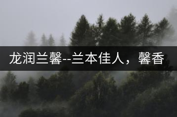龍潤蘭馨–蘭本佳人,馨香高雅