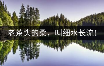 老茶頭的柔，叫細水長流！