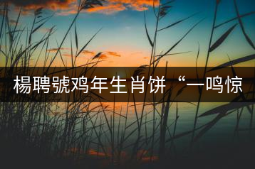 楊聘號雞年生肖餅“一鳴驚人”全國上市！