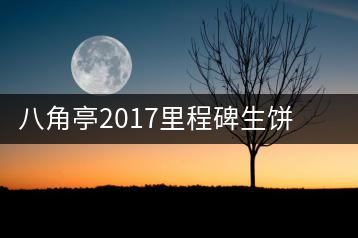 八角亭2017里程碑生餅,擁抱半個世紀的情懷