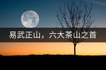 易武正山,六大茶山之首
