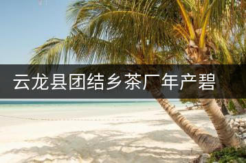 云龍縣團結鄉茶廠年產碧螺春茶２５噸