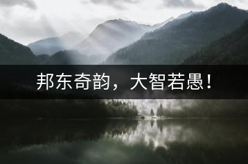 邦東奇韻，大智若愚！