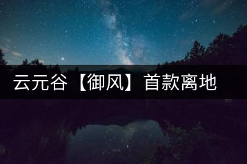云元谷【御風】首款離地渥堆發酵熟茶開湯品飲