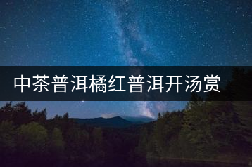 中茶普洱橘紅普洱開湯賞析