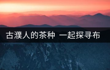 古濮人的茶種  一起探尋布朗之味