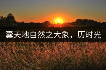 囊天地自然之大象，歷時光十載流轉-皇茶一號