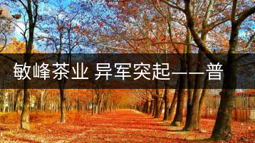 敏峰茶業 異軍突起——普洱敏峰茶業有限公司紀實