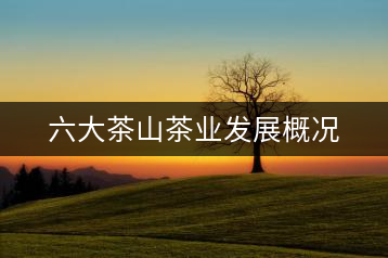 六大茶山茶業發展概況