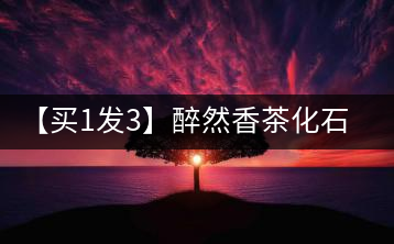 【買1發3】醉然香茶化石云南碎銀子普洱茶古樹茶糯米香茶葉共375g