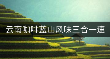 云南咖啡藍山風味三合一速溶咖啡粉袋裝 黑咖啡 提神學(xué)生40條普洱