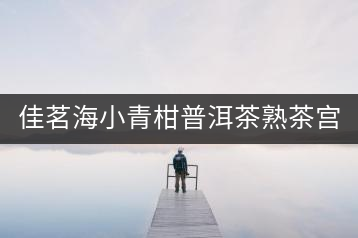 佳茗海小青柑普洱茶熟茶宮廷特級新會桔橘陳皮古樹普洱茶葉600g