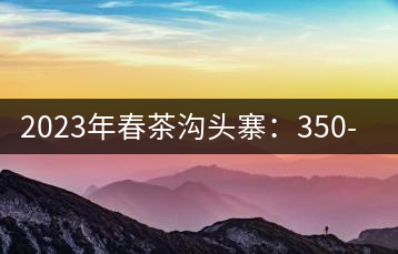 2023年春茶溝頭寨：350-450元／公斤