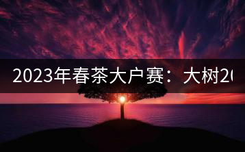 2023年春茶大戶賽：大樹200-300元／公斤，古樹800-1000元／公斤