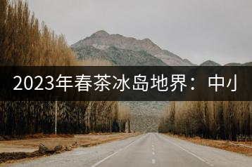 2023年春茶冰島地界：中小樹1300-1500元／公斤，古樹2200~2500元／公斤