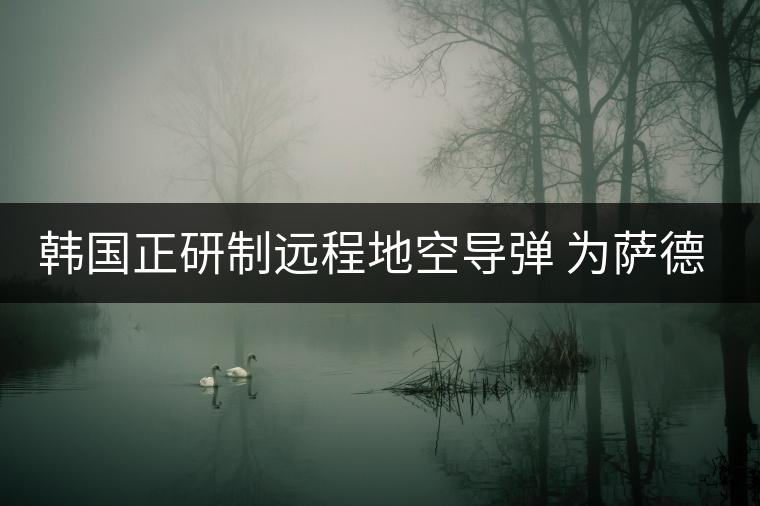 韓國正研制遠程地空導(dǎo)彈 為薩德系統(tǒng)作補充 韓國正研制遠程地空導(dǎo)彈 為薩德系統(tǒng)作補充