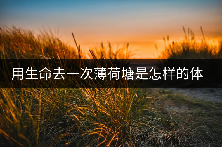 用生命去一次薄荷塘是怎樣的體驗 用生命去一次薄荷塘是怎樣的體驗