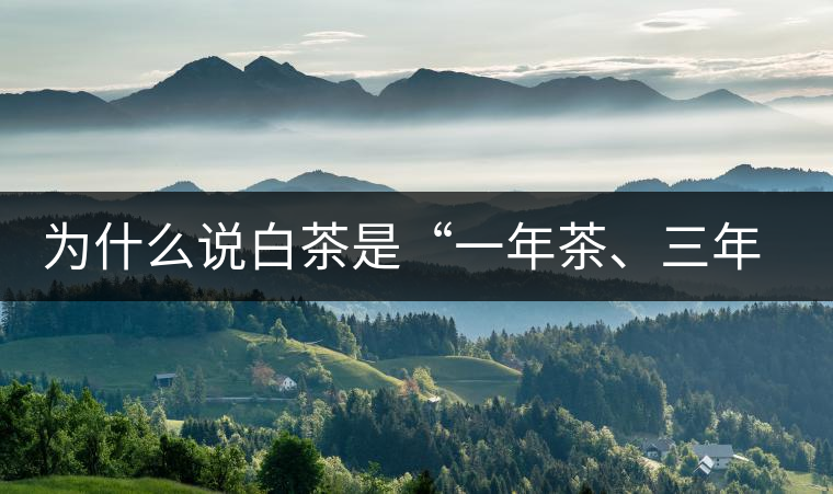 為什么說白茶是“一年茶、三年藥、七年寶”?為什么說白茶是“一年茶、三年藥、七年寶”？