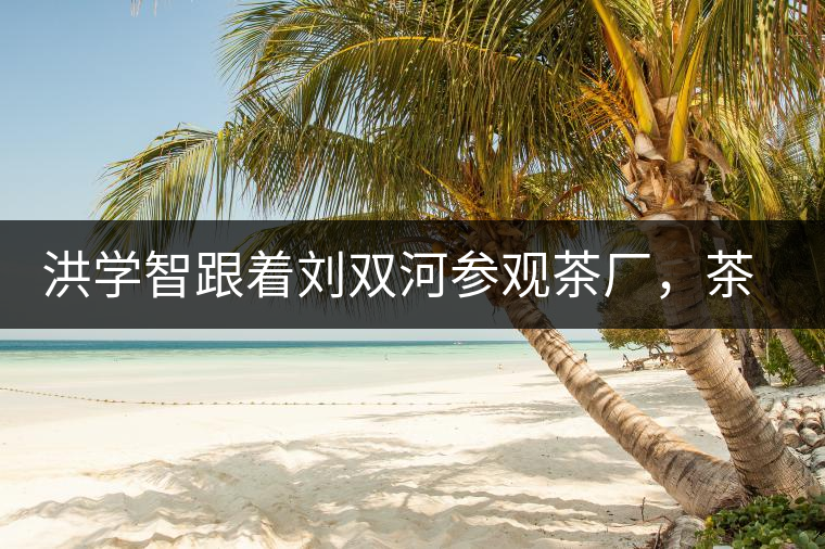 洪學智跟著劉雙河參觀茶廠,茶廠黃老板對賣苦力的百姓百般欺凌 洪學智跟著劉雙河參觀茶廠,茶廠黃老板對賣苦力的百姓百般欺凌