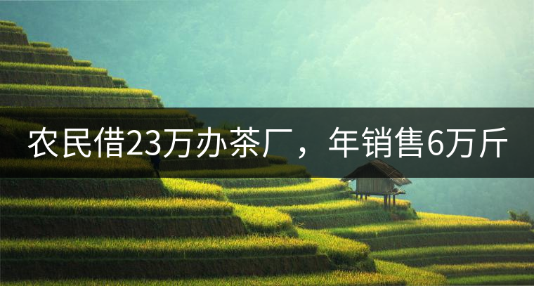 農(nóng)民借23萬辦茶廠,年銷售6萬斤,每天休息僅20分鐘!農(nóng)民借23萬辦茶廠,年銷售6萬斤,每天休息僅20分鐘! 農(nóng)民借23萬辦茶廠,年銷售6萬斤,每天休息僅20分鐘!農(nóng)民借23萬辦茶廠,年銷售6萬斤,每天休息僅20分鐘!