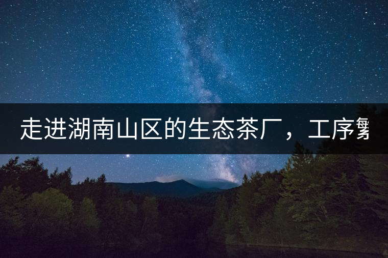 走進湖南山區(qū)的生態(tài)茶廠，工序繁雜精細，538塊錢1斤真值走進湖南山區(qū)的生態(tài)茶廠，工序繁雜精細，538塊錢1斤真值