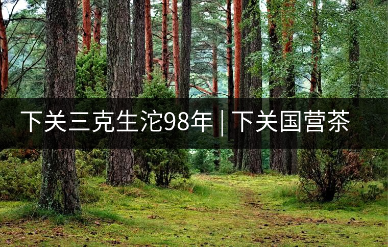 下關三克生沱98年 | 下關國營茶廠出口料,干倉儲存,...下關三克生沱98年 | 下關國營茶廠出口料,干倉儲存,19年老茶! 下關三克生沱98年 | 下關國營茶廠出口料,干倉儲存,...下關三克生沱98年 | 下關國營茶廠出口料,干倉儲存,19年老茶!