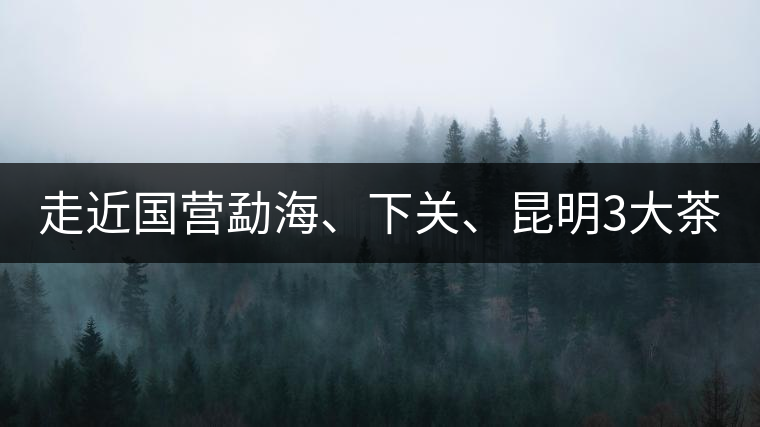 走近國營勐海、下關、昆明3大茶廠,傳世代表作的發展詳...走近國營勐海、下關、昆明3大茶廠,傳世代表作的發展詳解 走近國營勐海、下關、昆明3大茶廠,傳世代表作的發展詳...走近國營勐海、下關、昆明3大茶廠,傳世代表作的發展詳解