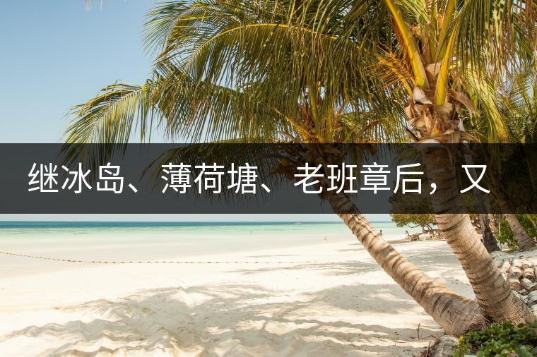 繼冰島、薄荷塘、老班章后,又一個被追捧的山頭茶火了! 繼冰島、薄荷塘、老班章后,又一個被追捧的山頭茶火了!