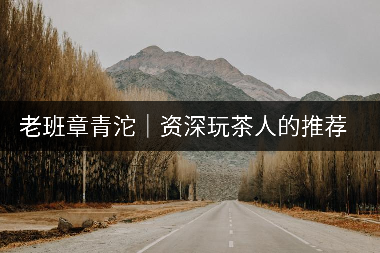 老班章青沱｜資深玩茶人的推薦，老班章專屬的老味道