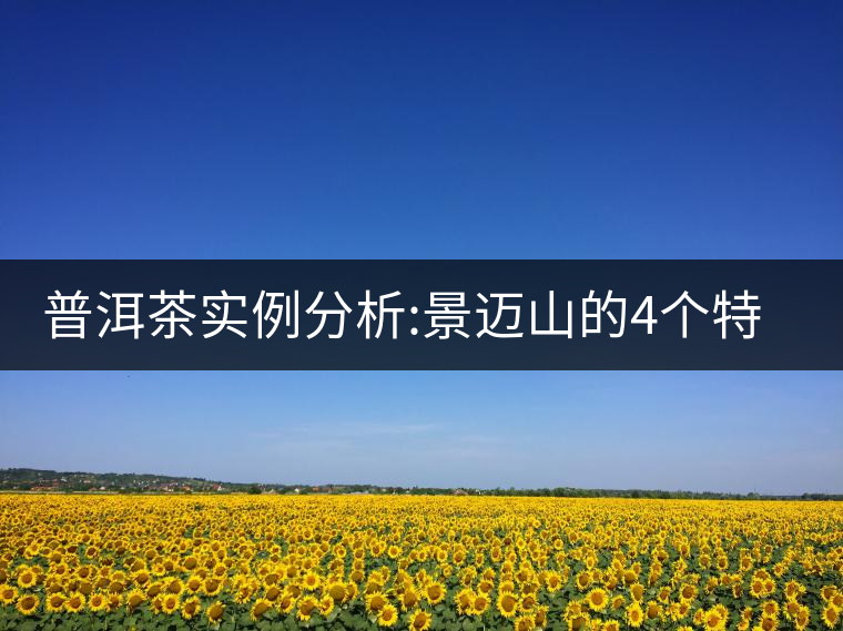 普洱茶實例分析:景邁山的4個特征普洱茶實例分析:景邁山的4個特征 普洱茶實例分析:景邁山的4個特征普洱茶實例分析:景邁山的4個特征